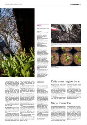bergenstidende_husoghjem-20160520_000_00_00_003.pdf