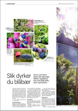 bergenstidende_husoghjem-20160624_000_00_00_004.pdf