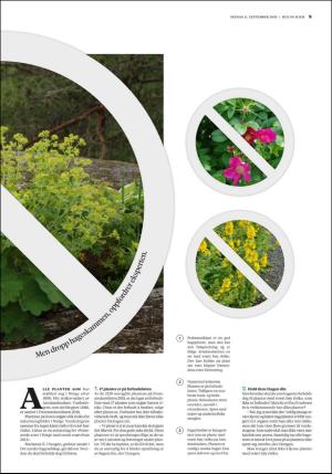 bergenstidende_husoghjem-20200911_000_00_00_009.pdf