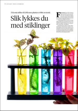bergenstidende_husoghjem-20201113_000_00_00_002.pdf