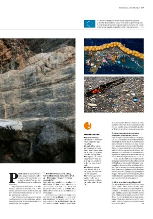 bergenstidende_husoghjem-20210128_000_00_00_037.pdf