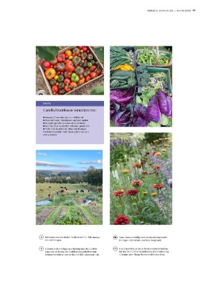bergenstidende_husoghjem-20210226_000_00_00_011.pdf