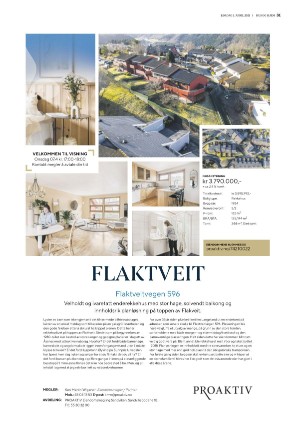bergenstidende_husoghjem-20210403_000_00_00_031.pdf