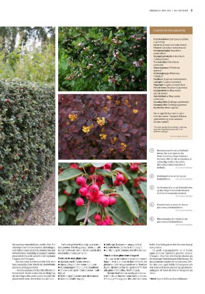bergenstidende_husoghjem-20210625_000_00_00_003.pdf