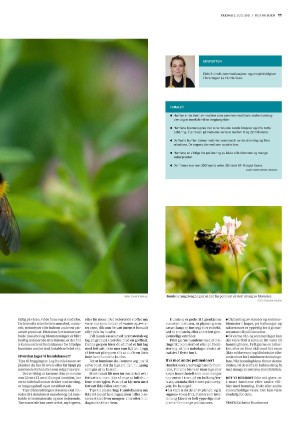 bergenstidende_husoghjem-20210702_000_00_00_011.pdf