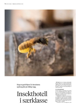 bergenstidende_husoghjem-20210910_000_00_00_012.pdf