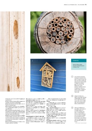 bergenstidende_husoghjem-20210910_000_00_00_013.pdf