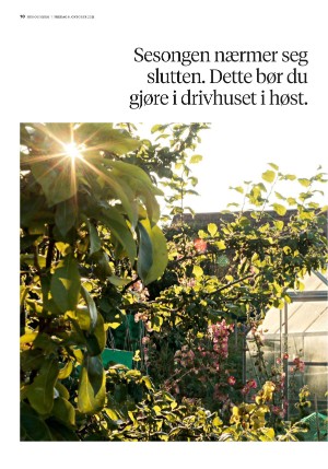 bergenstidende_husoghjem-20211008_000_00_00_010.pdf