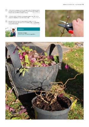 bergenstidende_husoghjem-20211015_000_00_00_013.pdf