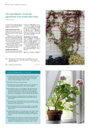 bergenstidende_husoghjem-20211015_000_00_00_014.pdf