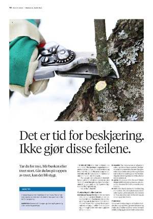 bergenstidende_husoghjem-20220318_000_00_00_010.pdf