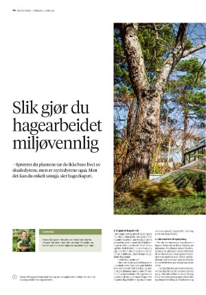 bergenstidende_husoghjem-20220603_000_00_00_014.pdf
