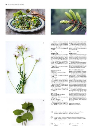 bergenstidende_husoghjem-20220708_000_00_00_014.pdf
