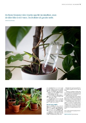 bergenstidende_husoghjem-20220805_000_00_00_015.pdf