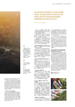bergenstidende_husoghjem-20220909_000_00_00_011.pdf
