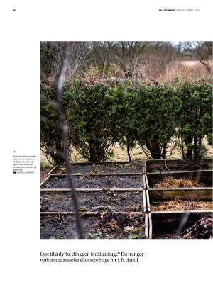 bergenstidende_husoghjem-20230408_000_00_00_014.pdf