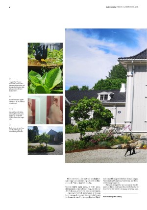 bergenstidende_husoghjem-20250912_000_00_00_008.pdf