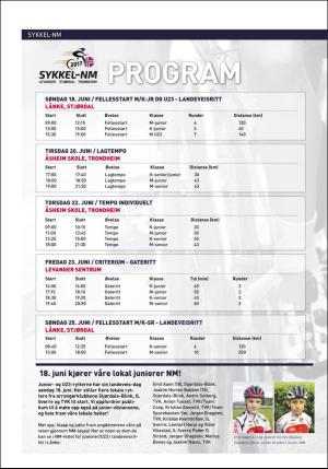 bladet_bilag-20170608_000_00_00_010.pdf