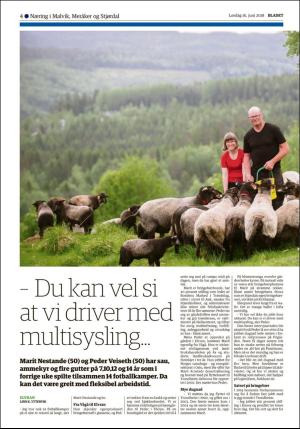 bladet_bilag-20180616_000_00_00_004.pdf