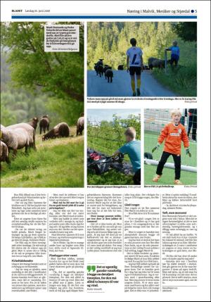 bladet_bilag-20180616_000_00_00_005.pdf