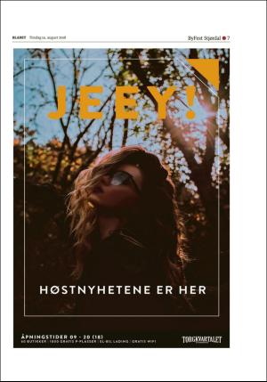 bladet_bilag-20180814_000_00_00_007.pdf