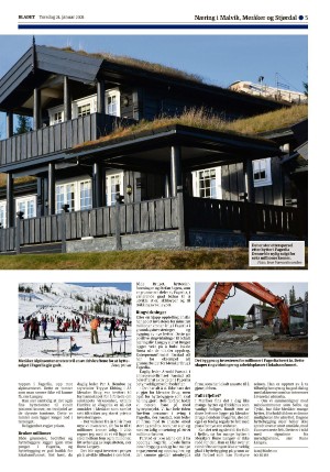 bladet_bilag-20210121_000_00_00_005.pdf