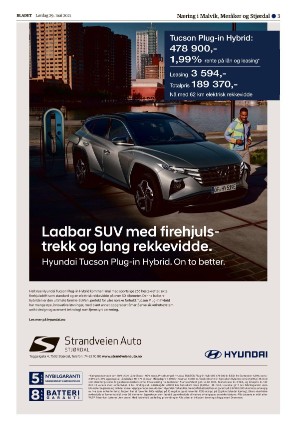 bladet_bilag-20210529_000_00_00_003.pdf