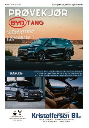 bladet_bilag-20210529_000_00_00_009.pdf