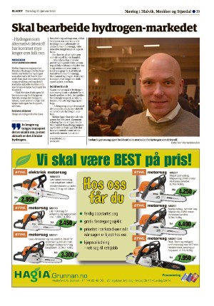 bladet_bilag-20220127_000_00_00_019.pdf