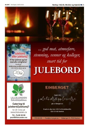 bladet_bilag-20221013_000_00_00_025.pdf