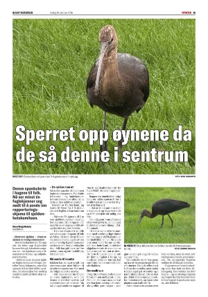 bladetvesteralen-20251010_000_00_00_015.pdf