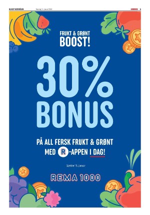 bladetvesteralen-20260115_000_00_00_005.pdf