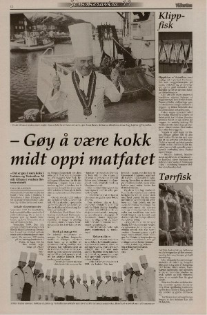 bladetvesteralen_bil-19990602_000_00_00_012.pdf