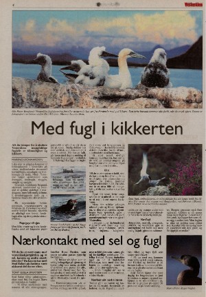 bladetvesteralen_bil-20060603_000_00_00_004.pdf