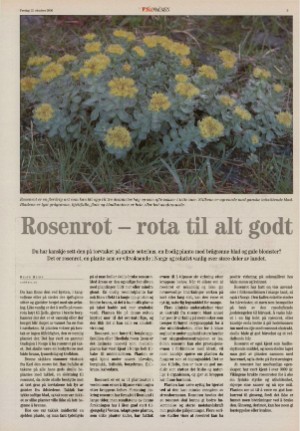 bladetvesteralen_bil-20061013_000_00_00_003.pdf