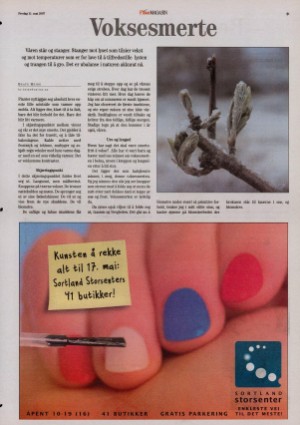 bladetvesteralen_bil-20070511_000_00_00_009.pdf