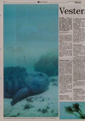 bladetvesteralen_bil-20070601_000_00_00_020.pdf