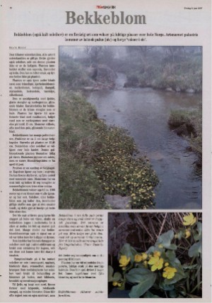 bladetvesteralen_bil-20070608_000_00_00_018.pdf
