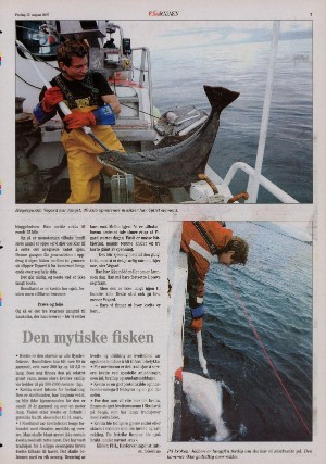 bladetvesteralen_bil-20070817_000_00_00_007.pdf