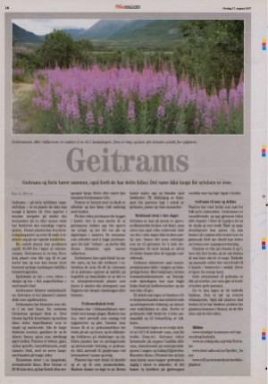 bladetvesteralen_bil-20070817_000_00_00_016.pdf