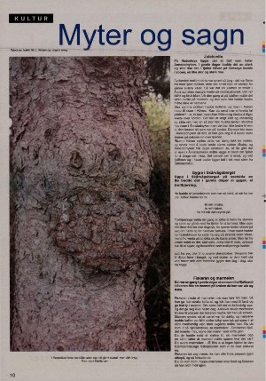 bladetvesteralen_bil-20071109_000_00_00_010.pdf