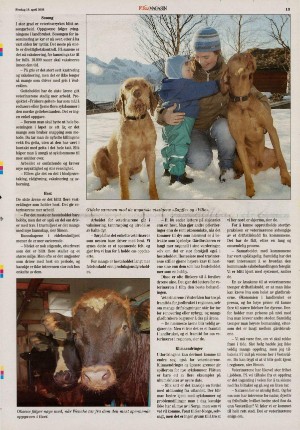 bladetvesteralen_bil-20080418_000_00_00_013.pdf