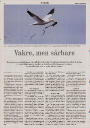 bladetvesteralen_bil-20080919_000_00_00_014.pdf