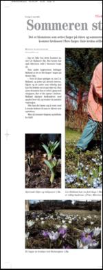 bladetvesteralen_bil-20090509_000_00_00_014.pdf