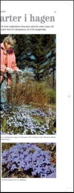 bladetvesteralen_bil-20090509_000_00_00_015.pdf
