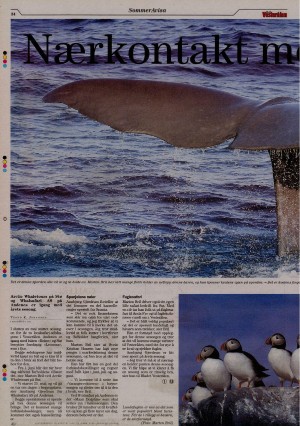 bladetvesteralen_bil-20090604_000_00_00_024.pdf