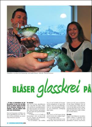 bladetvesteralen_bil-20130213_000_00_00_028.pdf