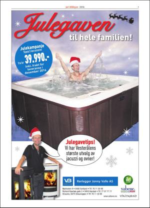 bladetvesteralen_bil-20161117_000_00_00_007.pdf