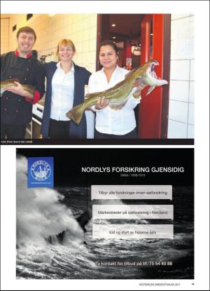 bladetvesteralen_bil-20170209_000_00_00_025.pdf