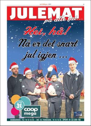 bladetvesteralen_bil-20171116_000_00_00_013.pdf
